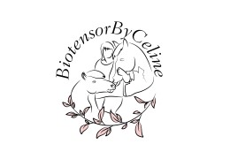 Gastblog: BiotensorByCeline